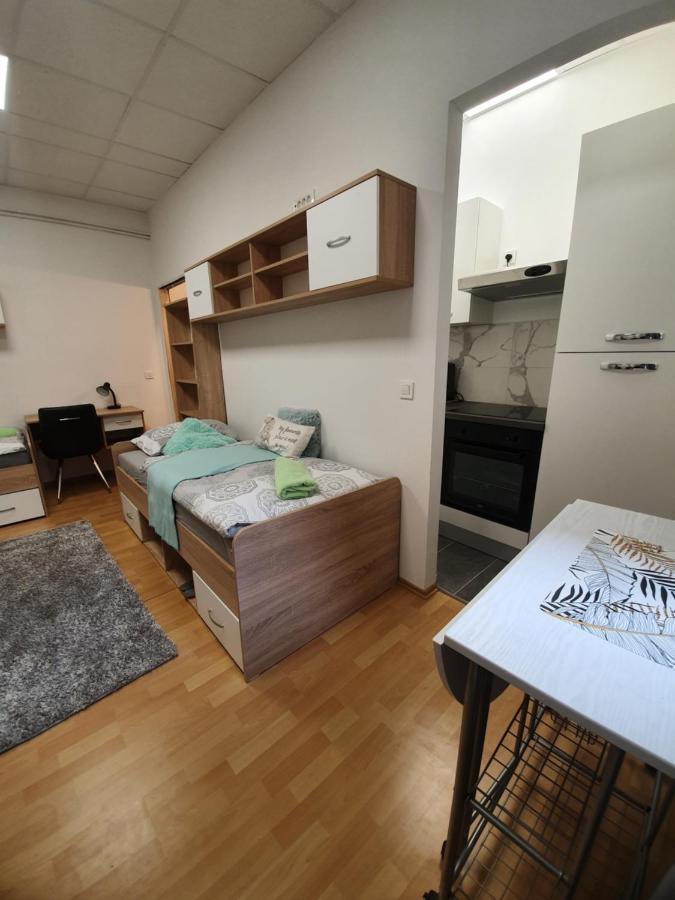 Maribor City Center Minidorm Apartment 외부 사진